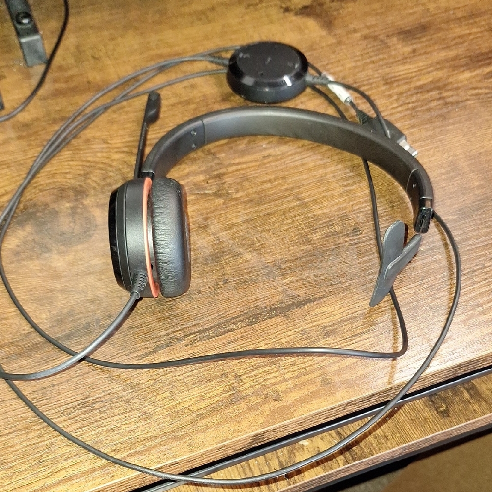 Black and Copper Wired Headphones